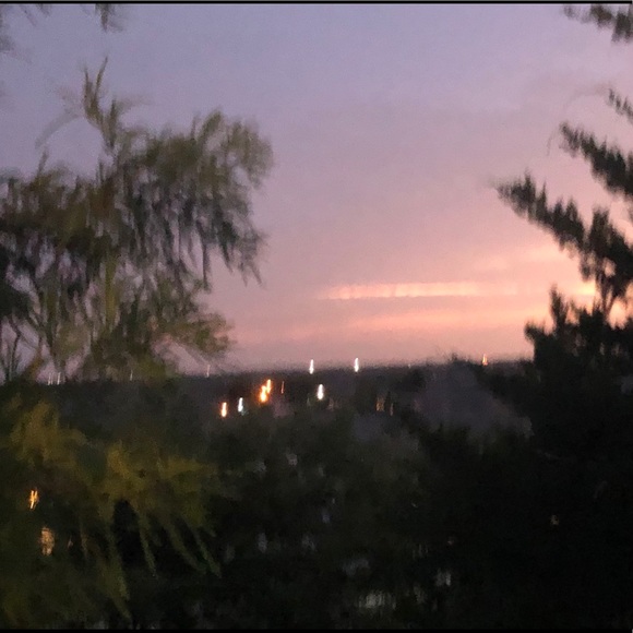 Meet the Posher Other - Meet your Posher, Leiler